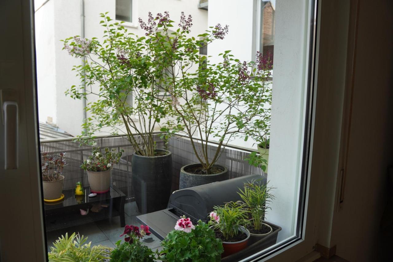 Bright, Spacious Apartment With A Lovely Terrace In The Heart Of アーヘン エクステリア 写真